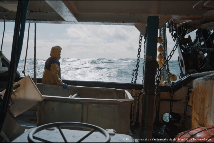 © Film documentaire « Vie de marin, vie de chien ? », de Roberto Garçon