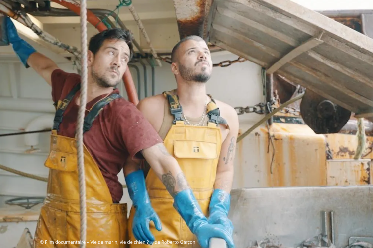 © Film documentaire « Vie de marin, vie de chien ? », de Roberto Garçon