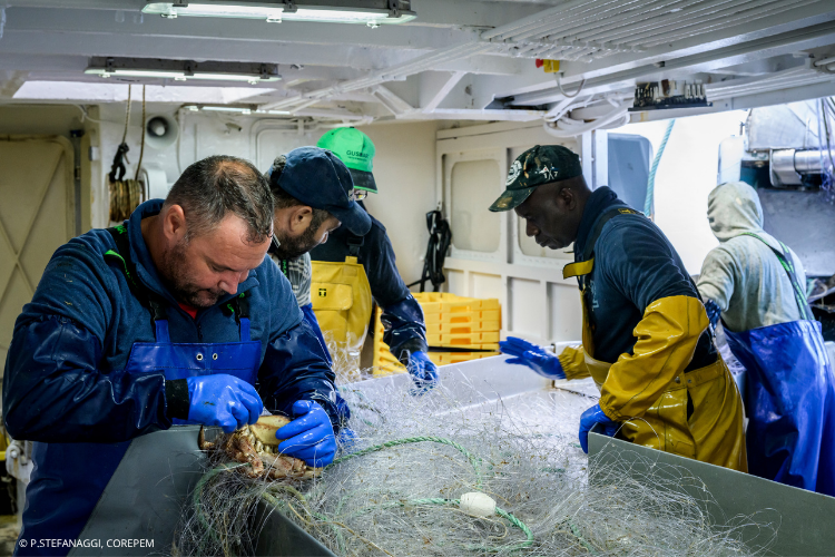 Marins pêcheurs