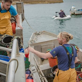 Marins pêcheurs au déchargement