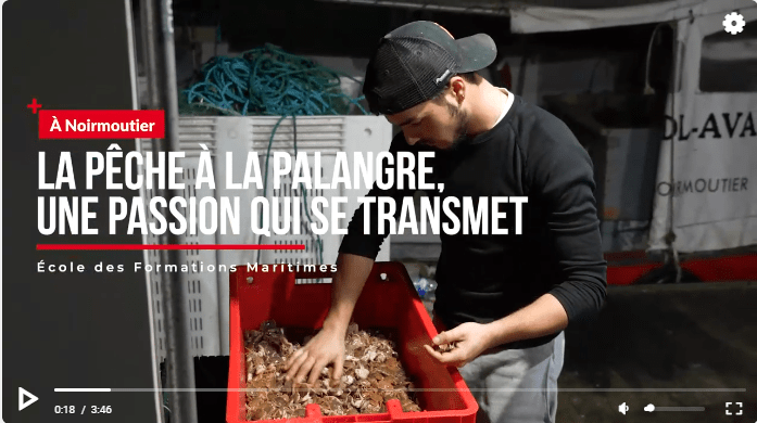 Théo patron à Noirmourtier