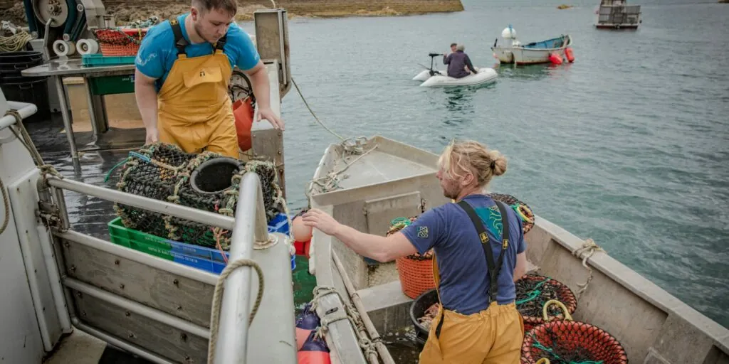 Marins pêcheurs au déchargement