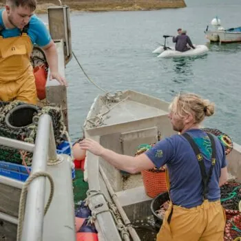 Marins pêcheurs au déchargement