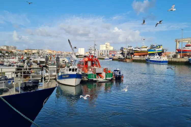 Port de peche Les Sables d'Olonne
